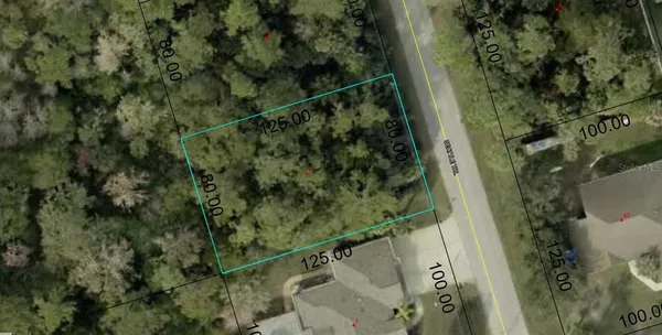 a view of a yard and basketball court