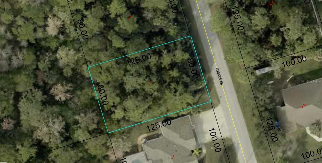 3 Seattle Trail Palm Coast, FL 32164 - Photo 9 of 16 a view of a forest