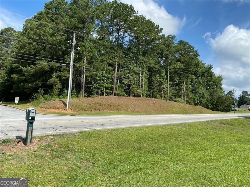 466 Highway 81 Covington, GA 30014 - Photo 5 of 6 a view of a yard with a house and large trees
