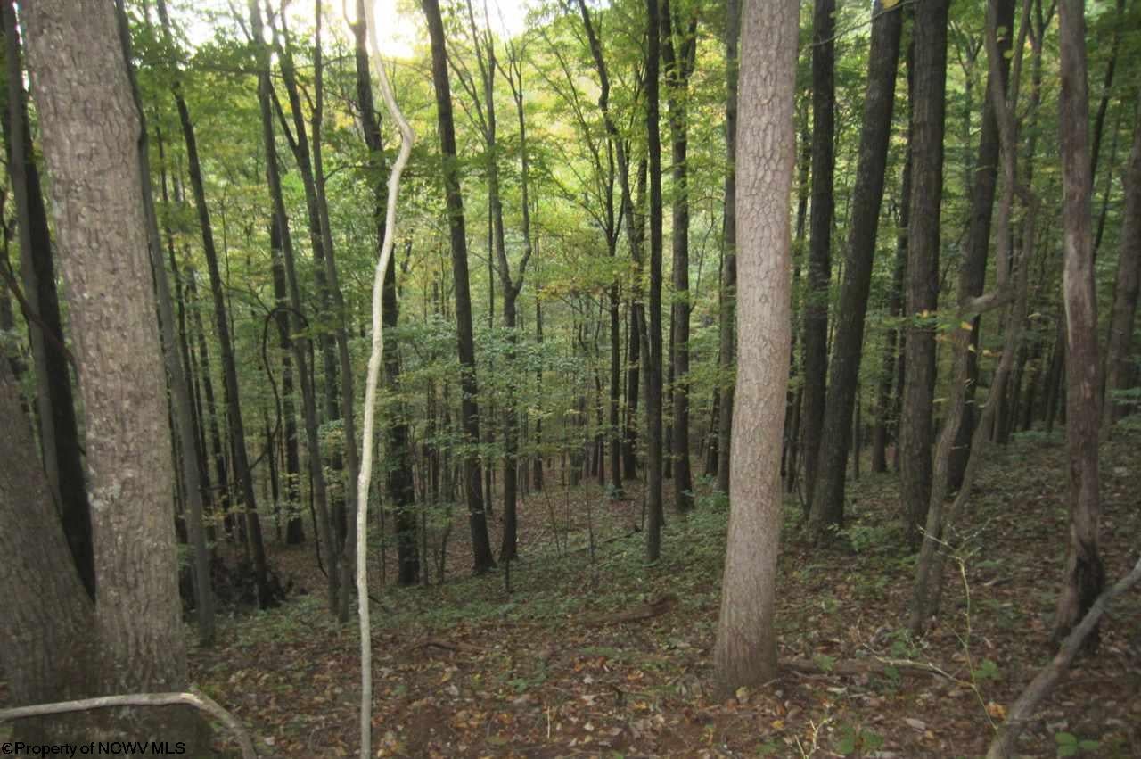 Tbd Kincheloe Road Jane Lew, WV 26378 - Photo 9 of 16 Gallery Image 9