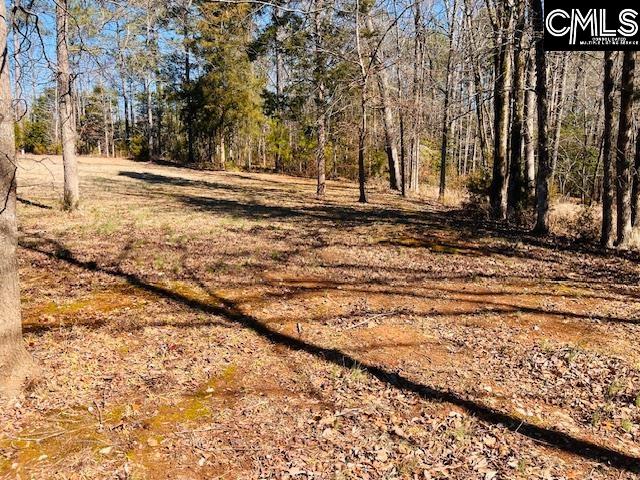 Maple Knoll Road Prosperity, SC 29127 - Photo 10 of 15