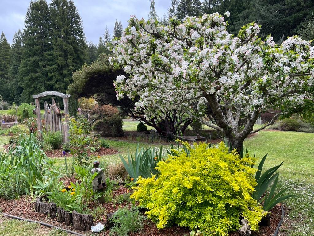 31501 Comptche Ukiah Road Comptche, CA 95427 - Photo 67 of 85