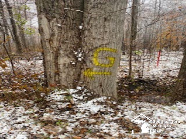 0 Hivon Carleton, MI 48117 - Photo 4 of 4