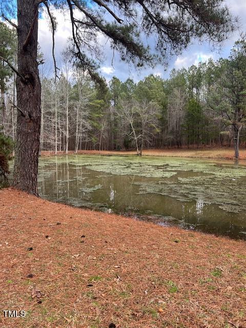 1480 Spring Valley Lake Road Henderson, NC 27537 - Photo 3 of 10 IMG_5465