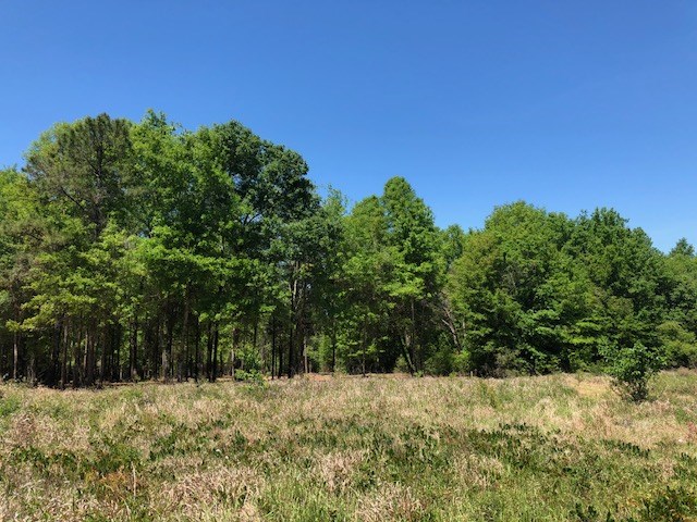 14000 County Road 54 Silverhill, AL 36576 - Photo 13 of 14