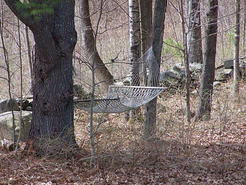 104 Pond Road Wayne, ME 04284 - Photo 24 of 32 Yard/Garden. Not a care in the world!