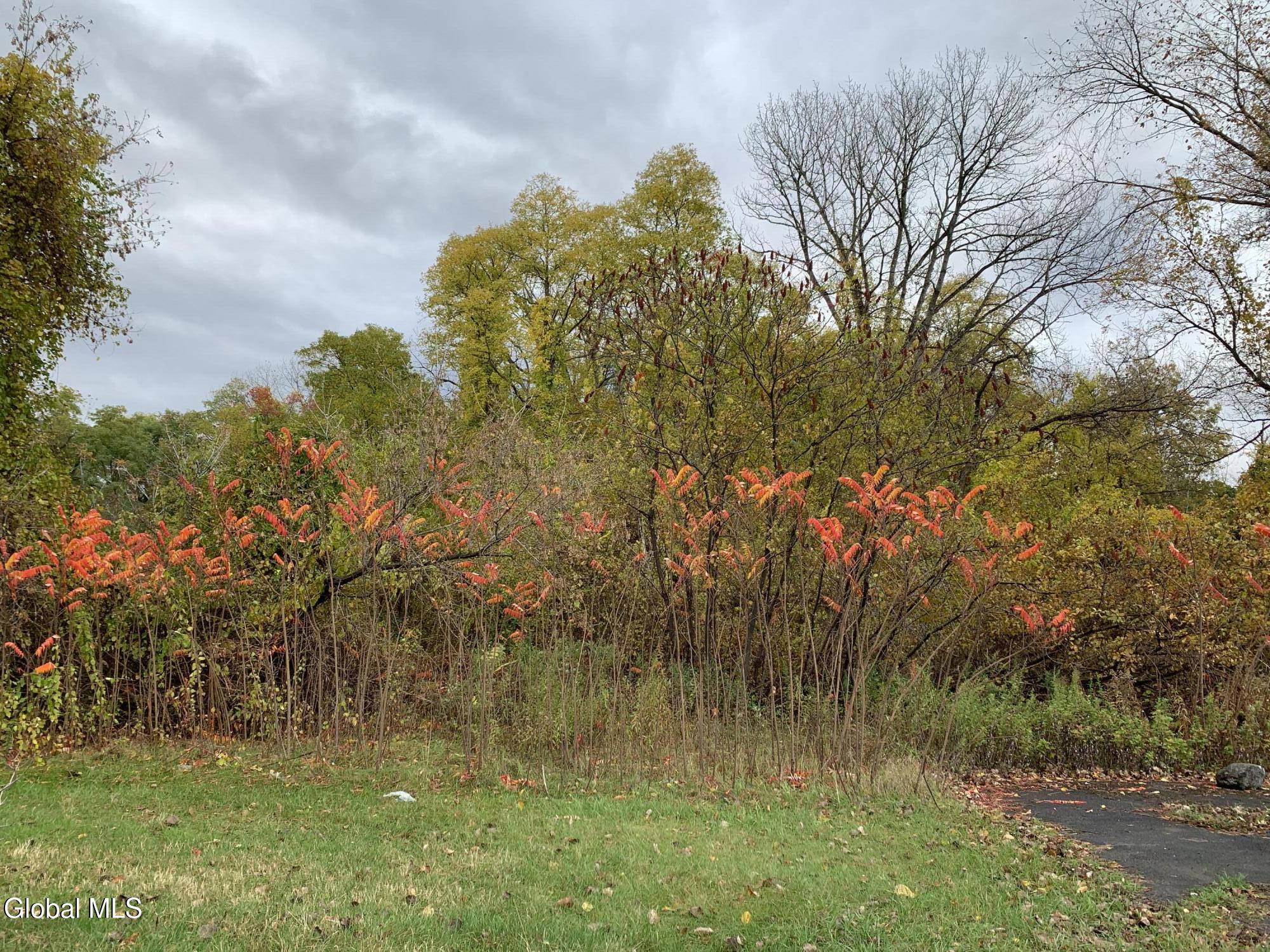 1853 Highway 9 Halfmoon, NY 12065 - Photo 2 of 5 IMG_5506