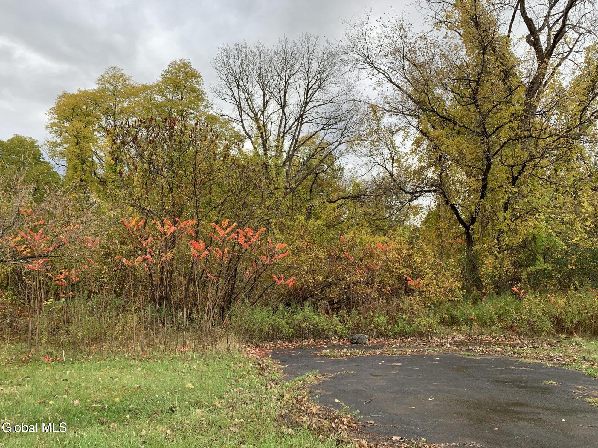 1853 Highway 9 Halfmoon, NY 12065 - Photo 3 of 5 IMG_5508