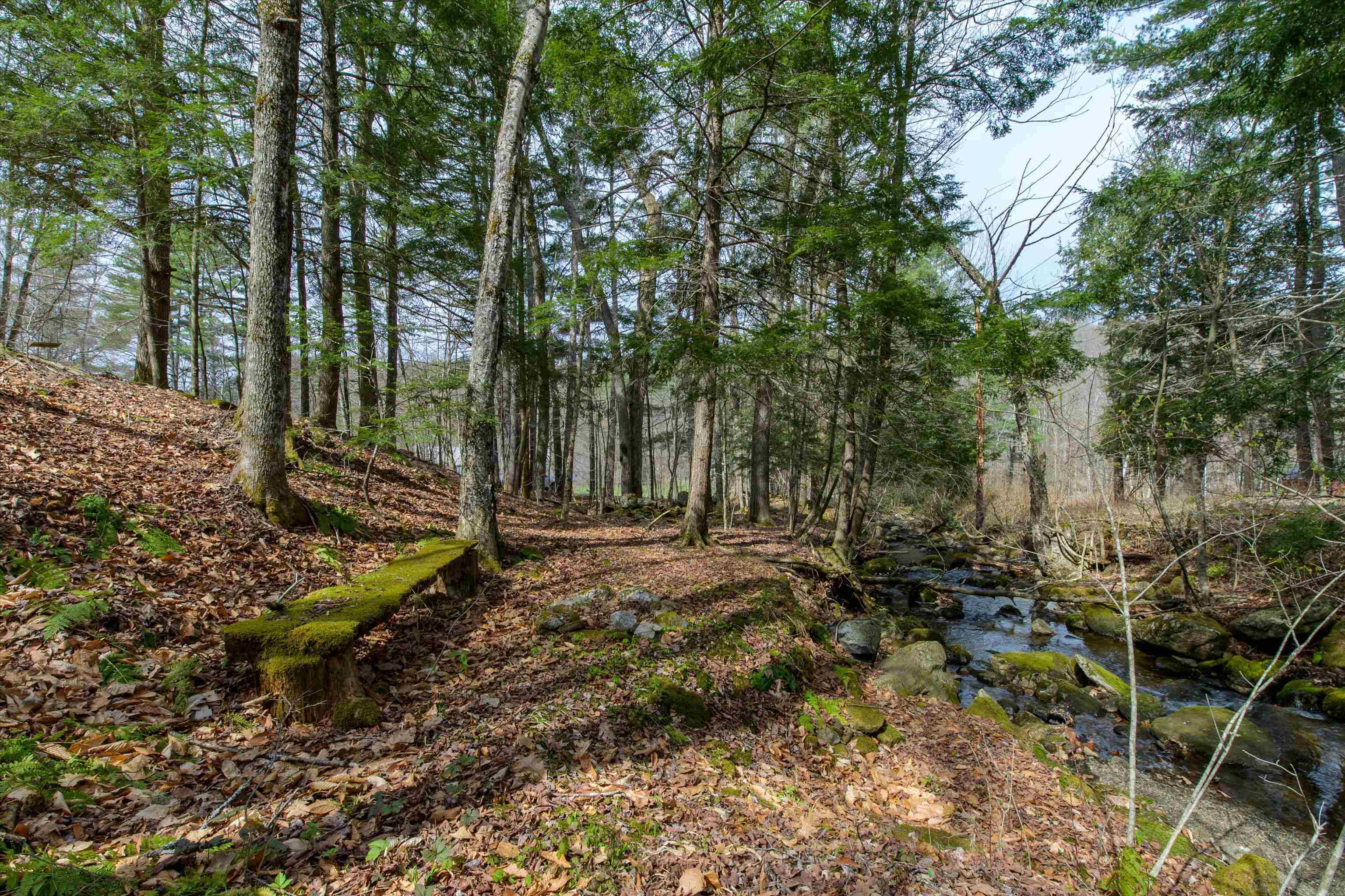 59 Zeller Camp Road Grafton, VT 05146 - Photo 41 of 49