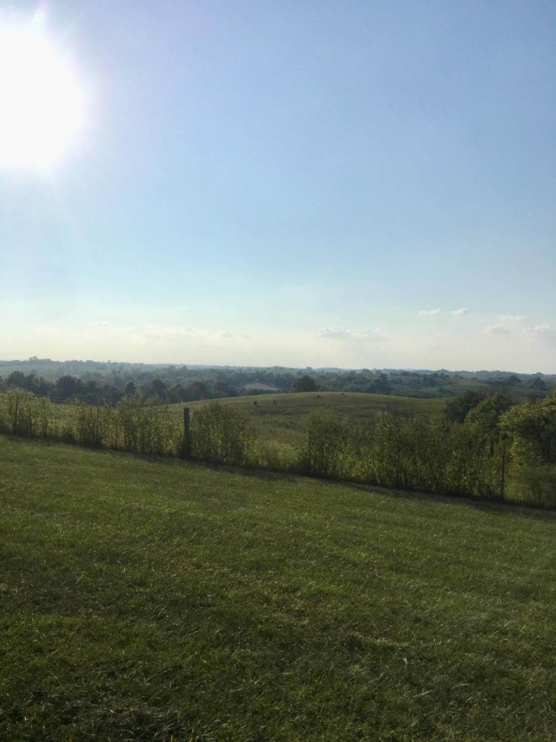 1839 Perry Rogers Road Lancaster, KY 40444 - Photo 11 of 42 Photo 11