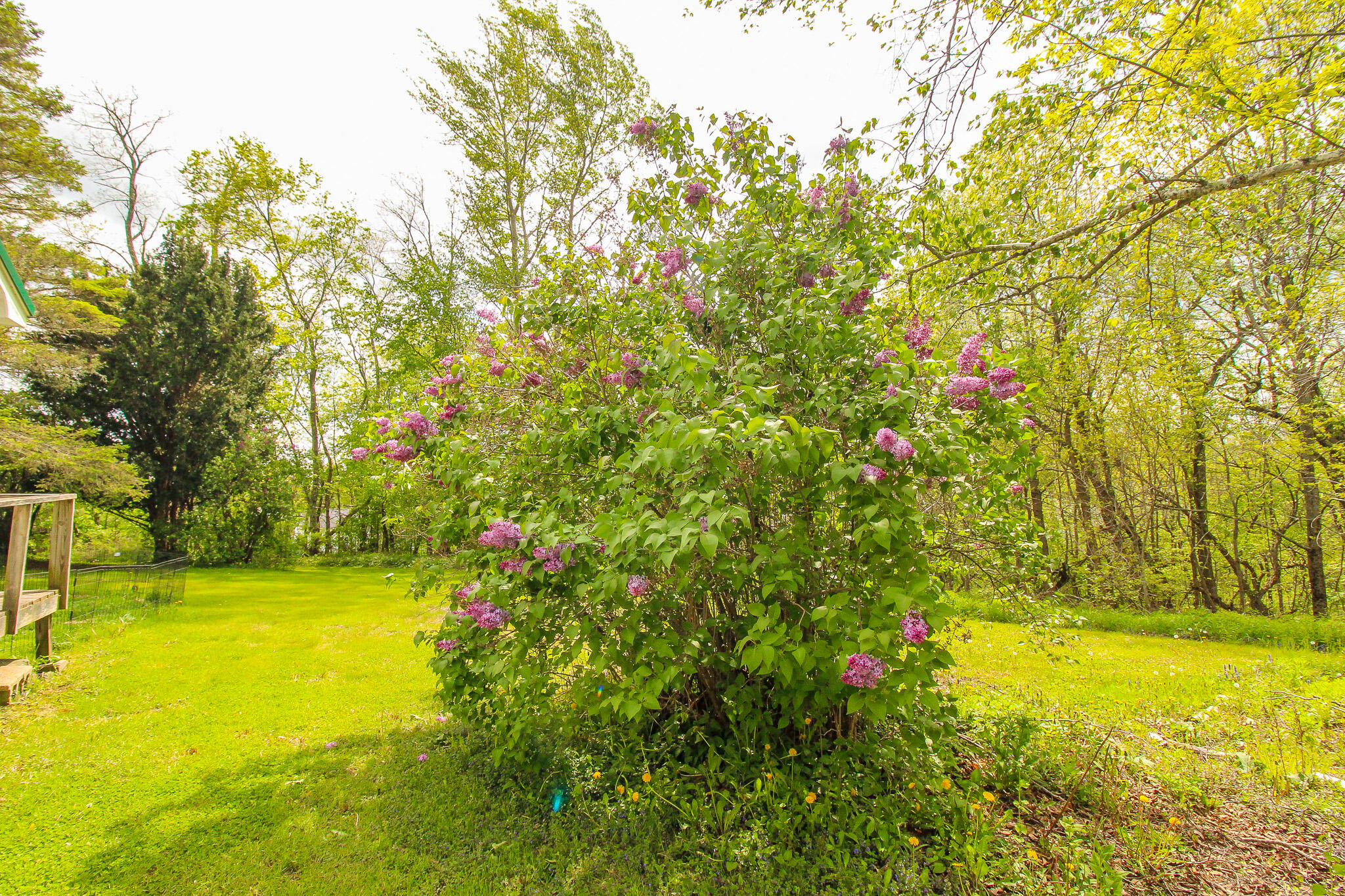 1350 Pushaw Road Glenburn, ME 04401 - Photo 26 of 31 IMG_0008