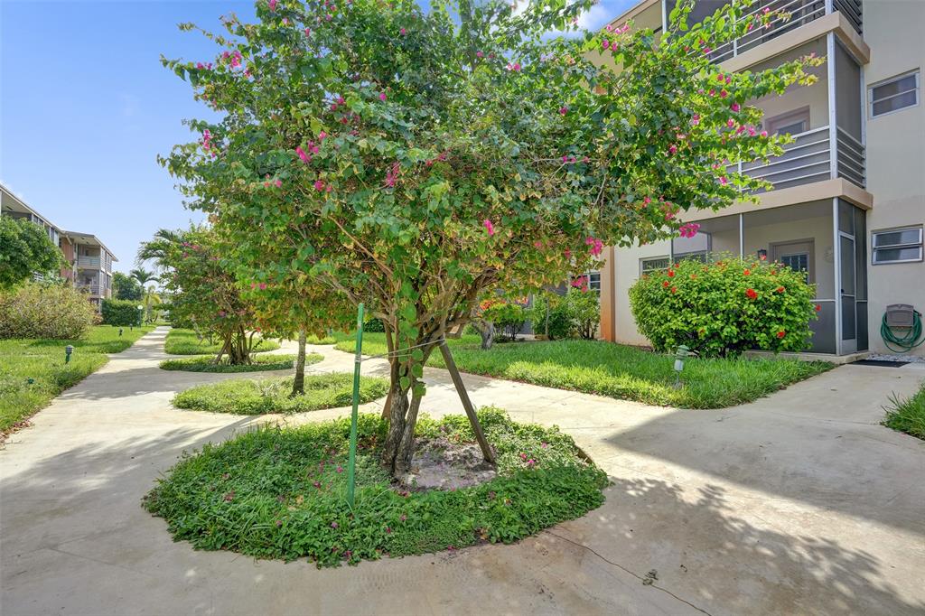 17001 Northeast 13th Avenue, Unit 104 Miami, FL 33162 - Photo 27 of 41 a view of a garden with a fountain