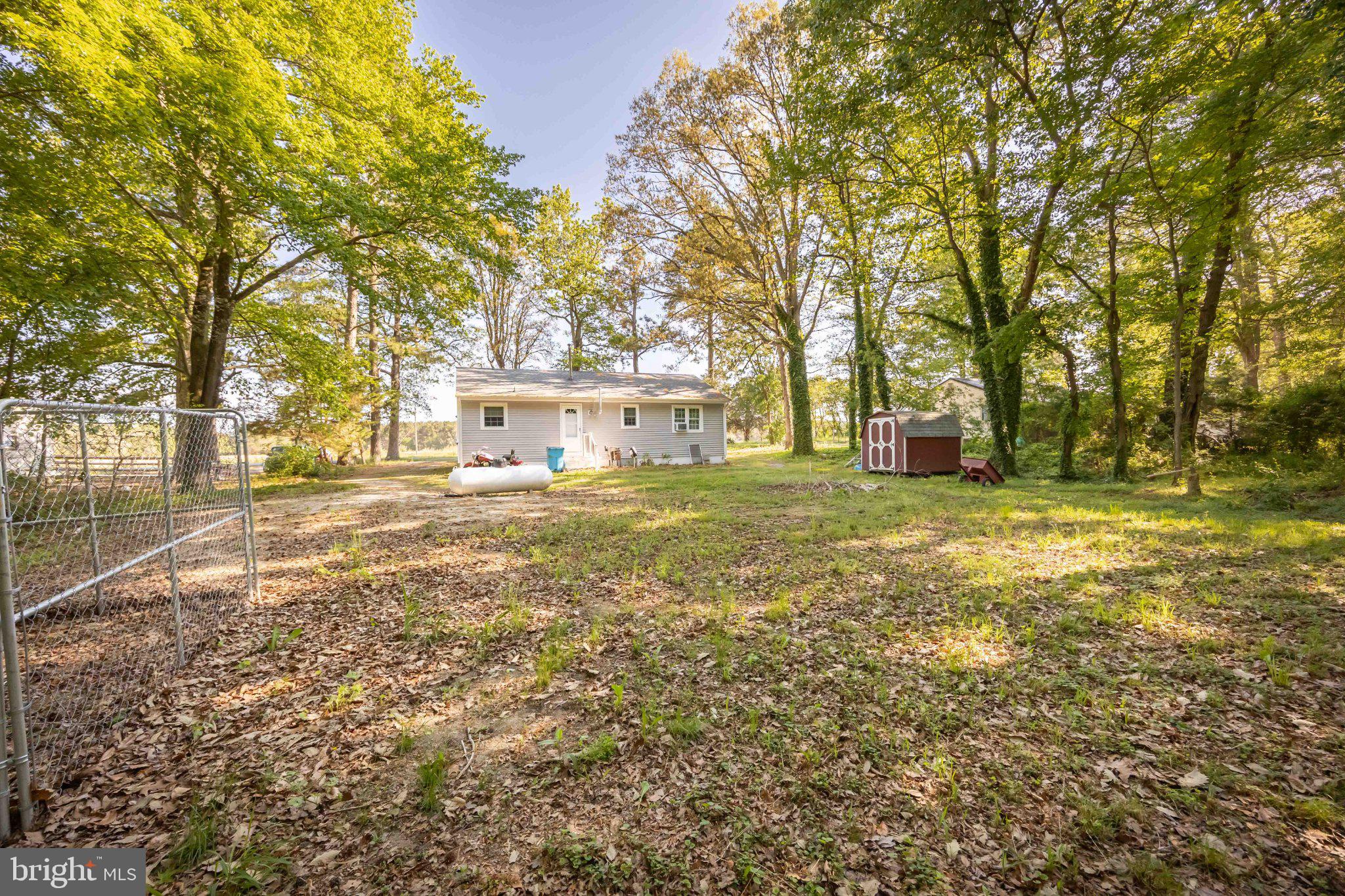 31161 Eden Allen Road Eden, MD 21822 - Photo 27 of 28 Serene home nestled among trees.