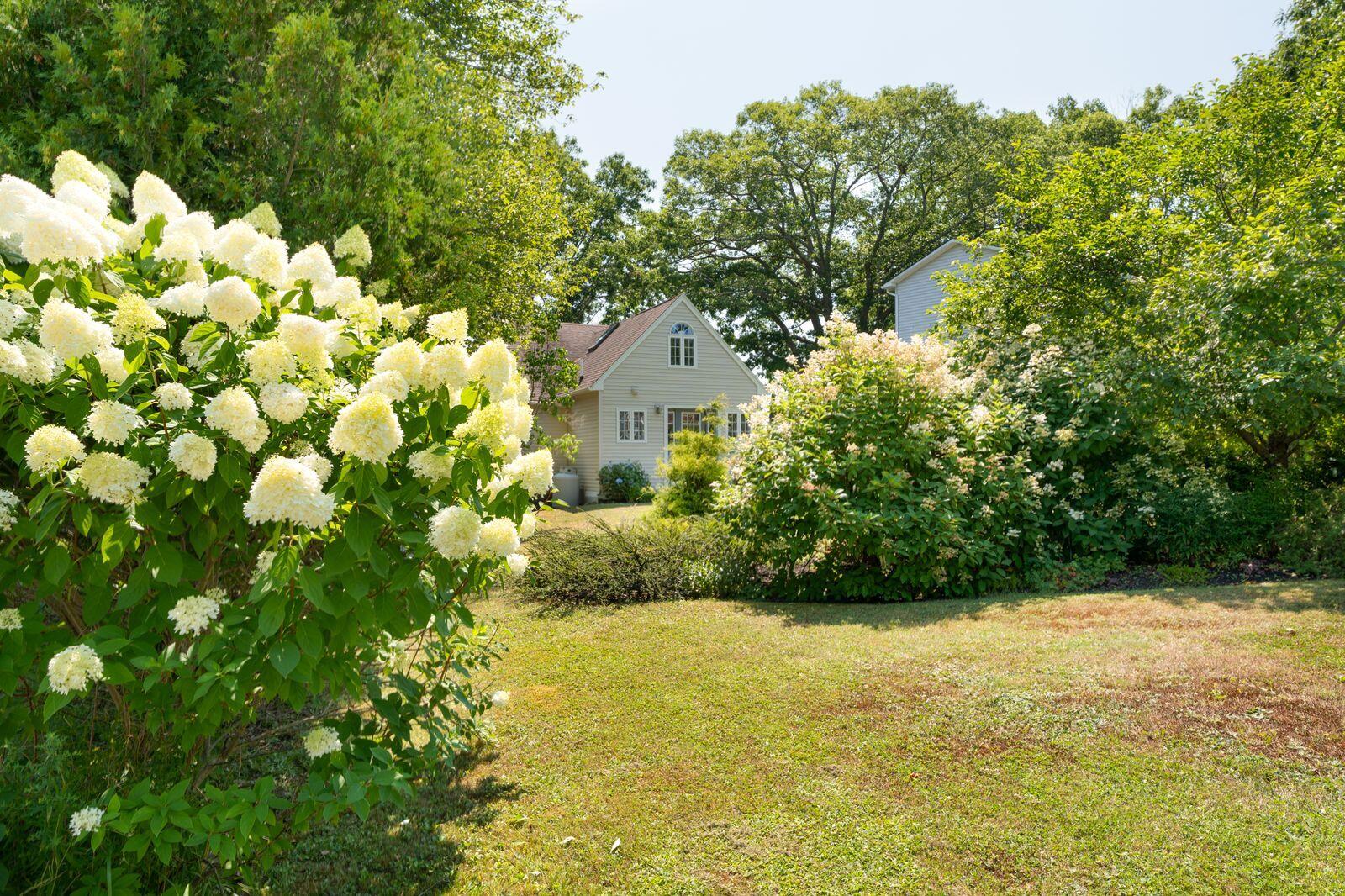 138 Hildreth Road Harpswell, ME 04079 - Photo 33 of 39 138 Hildreth view from road flowers