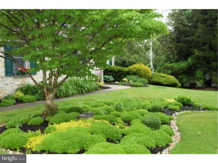 911 Limekiln Road Doylestown, PA 18901 - Photo 5 of 24 Side Yard