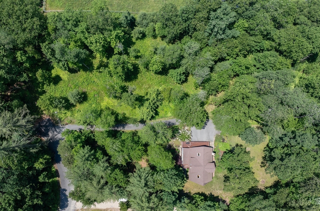 809 Park Hill Road Northampton, MA 01062 - Photo 11 of 42 Gallery Image 11