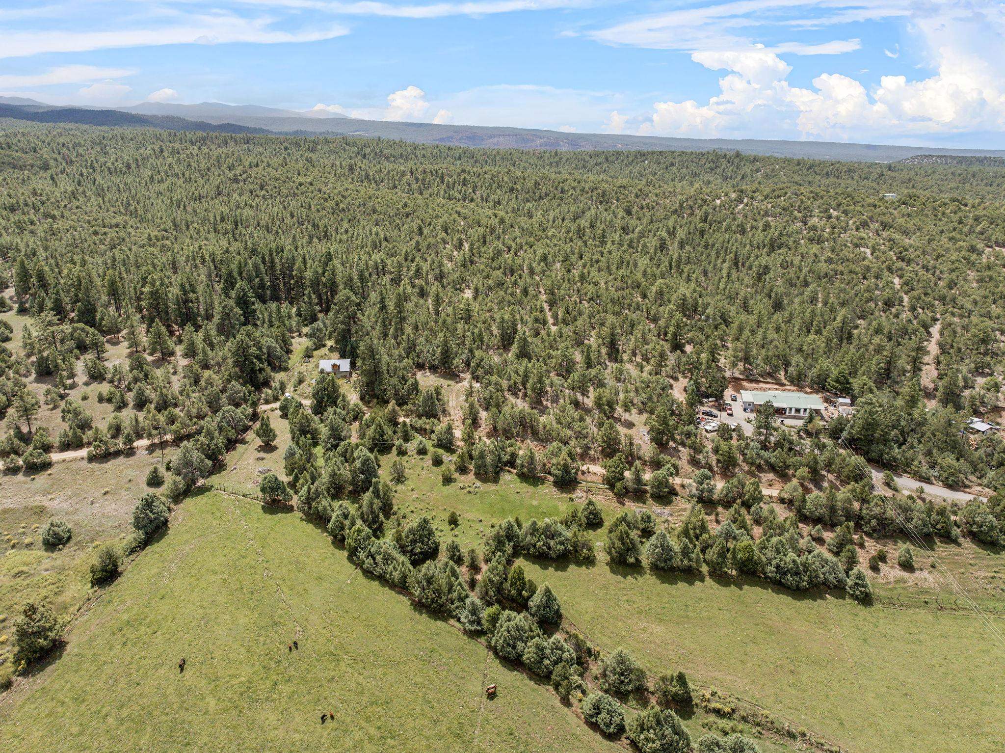 17 Acres Chamisal, NM 87521 - Photo 13 of 16