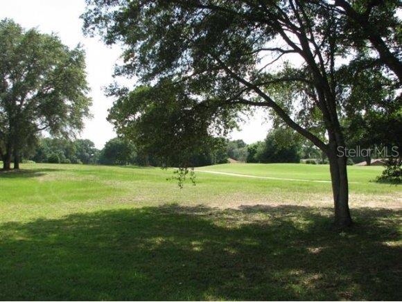 8952 Southwest 192nd Court Road Dunnellon, FL 34432 - Photo 1 of 1 Primary Photo