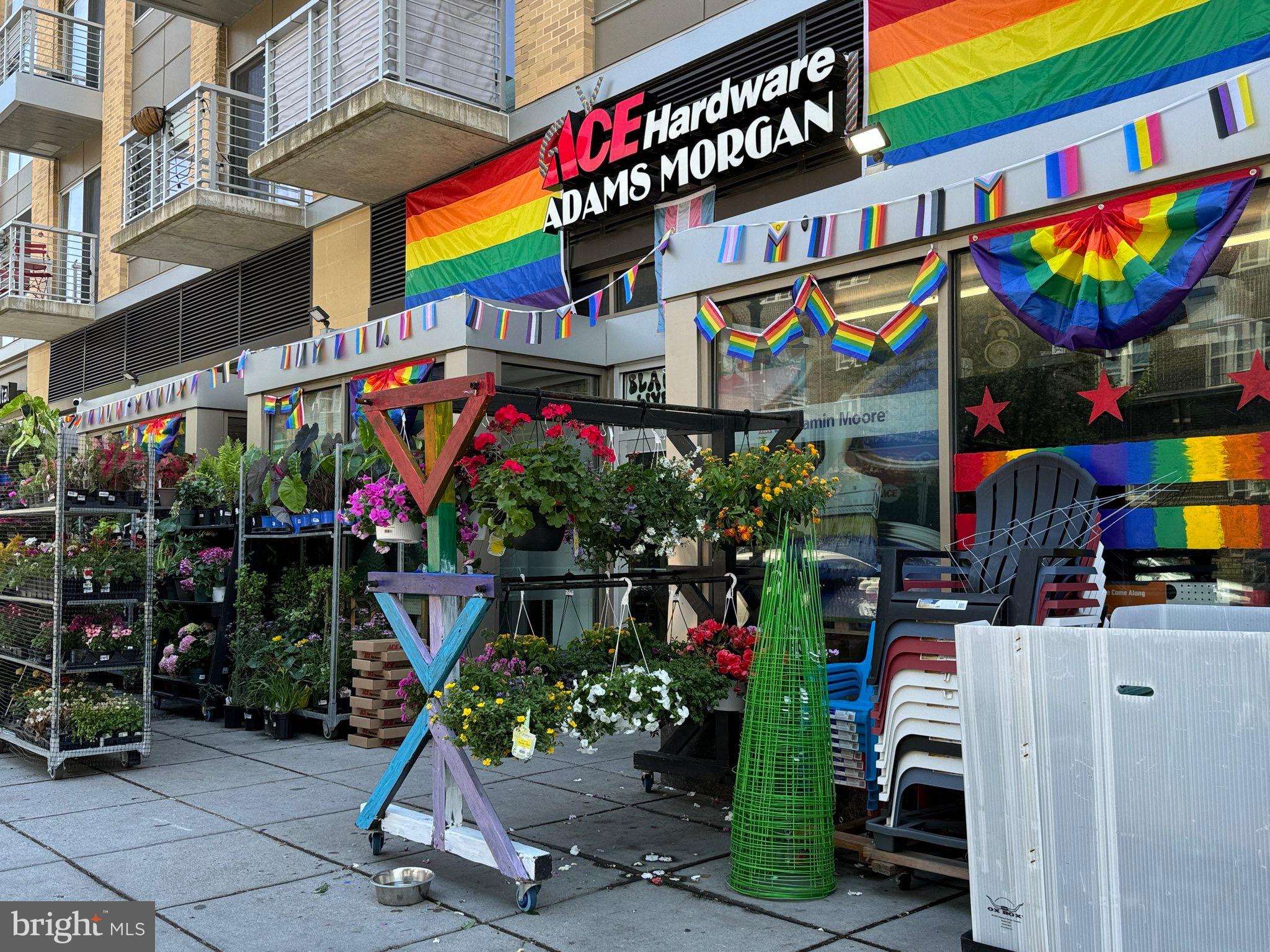 2360 Champlain Street Northwest, Unit 3 3 Washington, DC 20009 - Photo 71 of 71