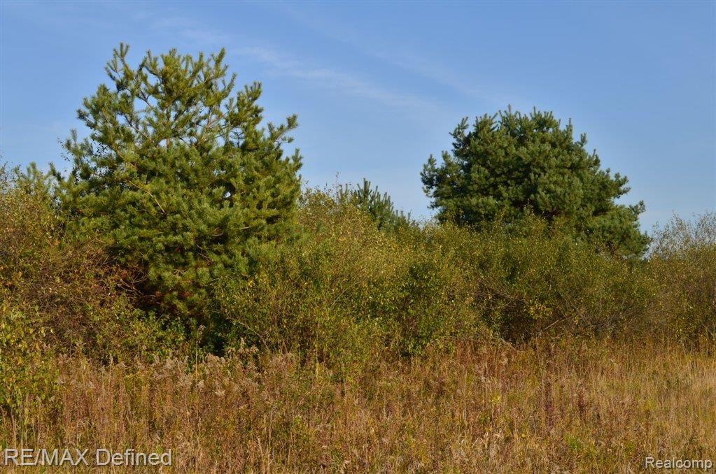 0 Crawford Road Oxford, MI 48371 - Photo 6 of 9