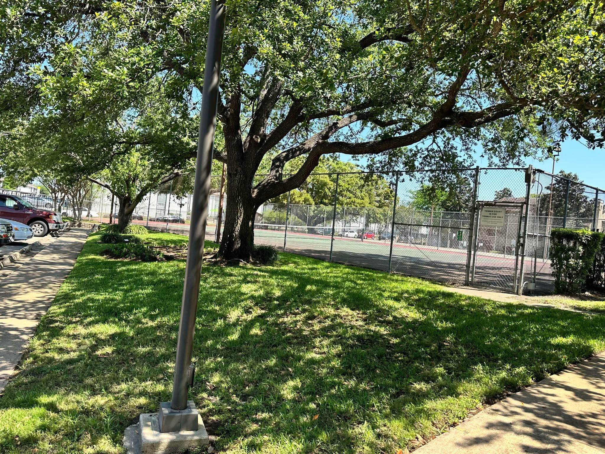 3630 Ocee Street Houston, TX 77063 - Photo 19 of 21 a view of a yard with a tree