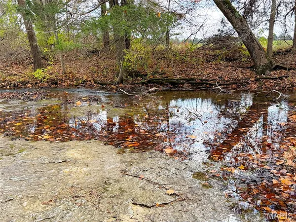 $1,300,000 | 22856 Highway 32, Belleview, MO 63623