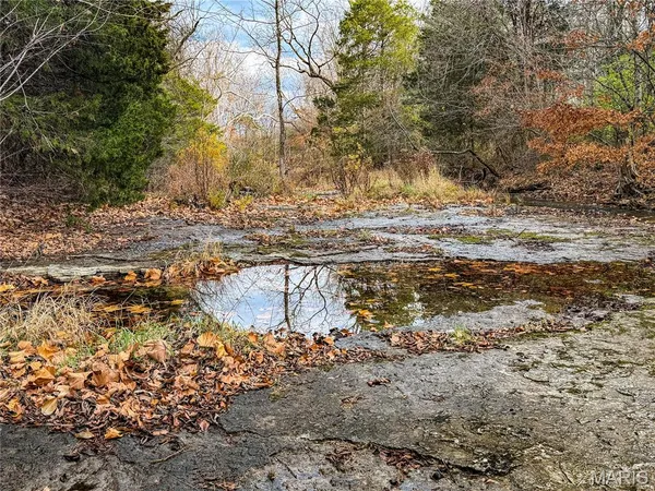 $1,300,000 | 22856 Highway 32, Belleview, MO 63623