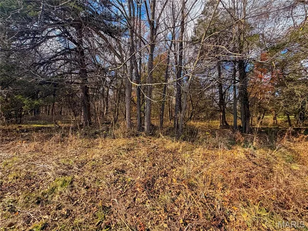$1,300,000 | 22856 Highway 32, Belleview, MO 63623
