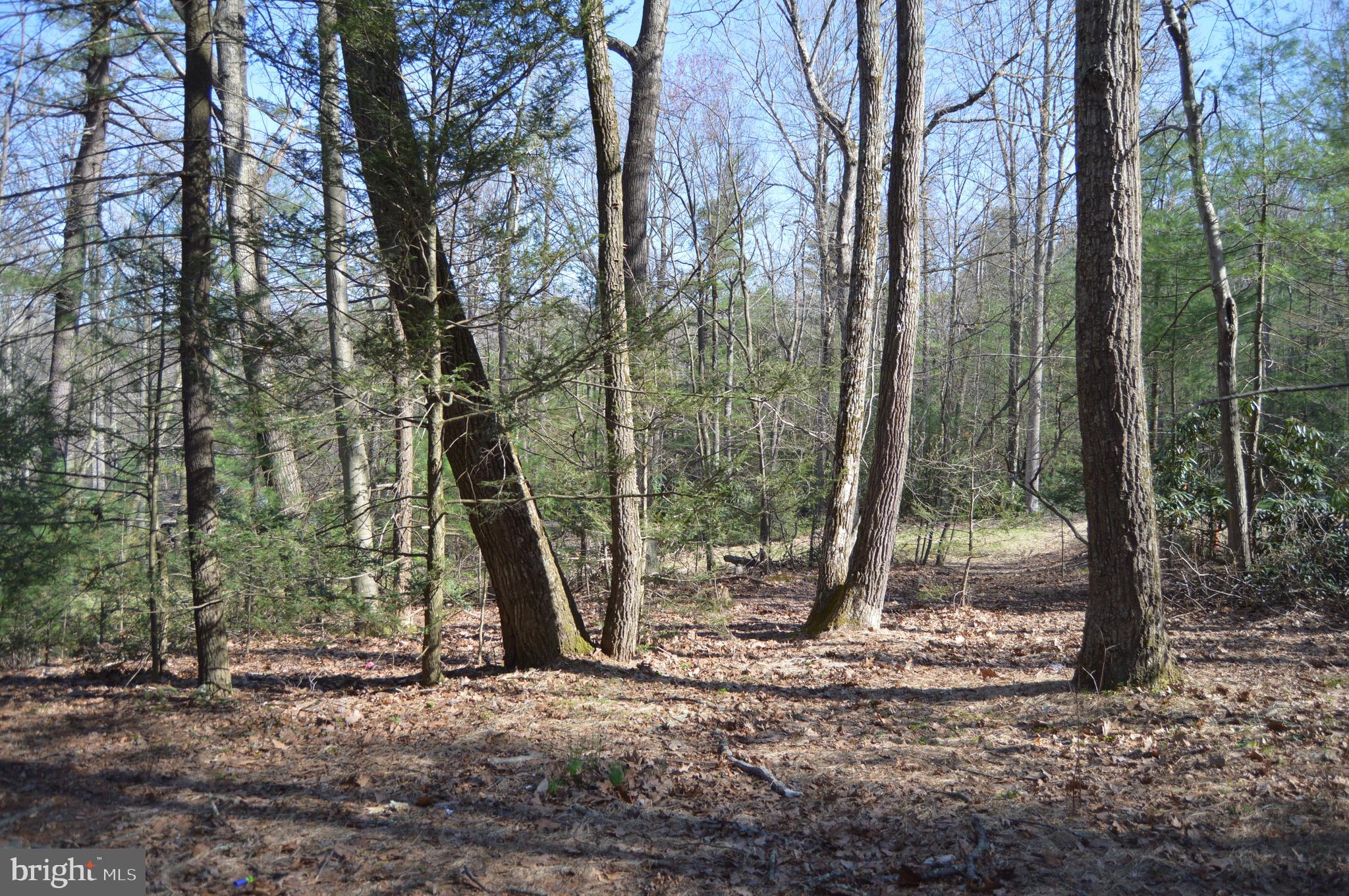 100 Wagner Road Fayetteville, PA 17222 - Photo 20 of 21 Gallery Image 20