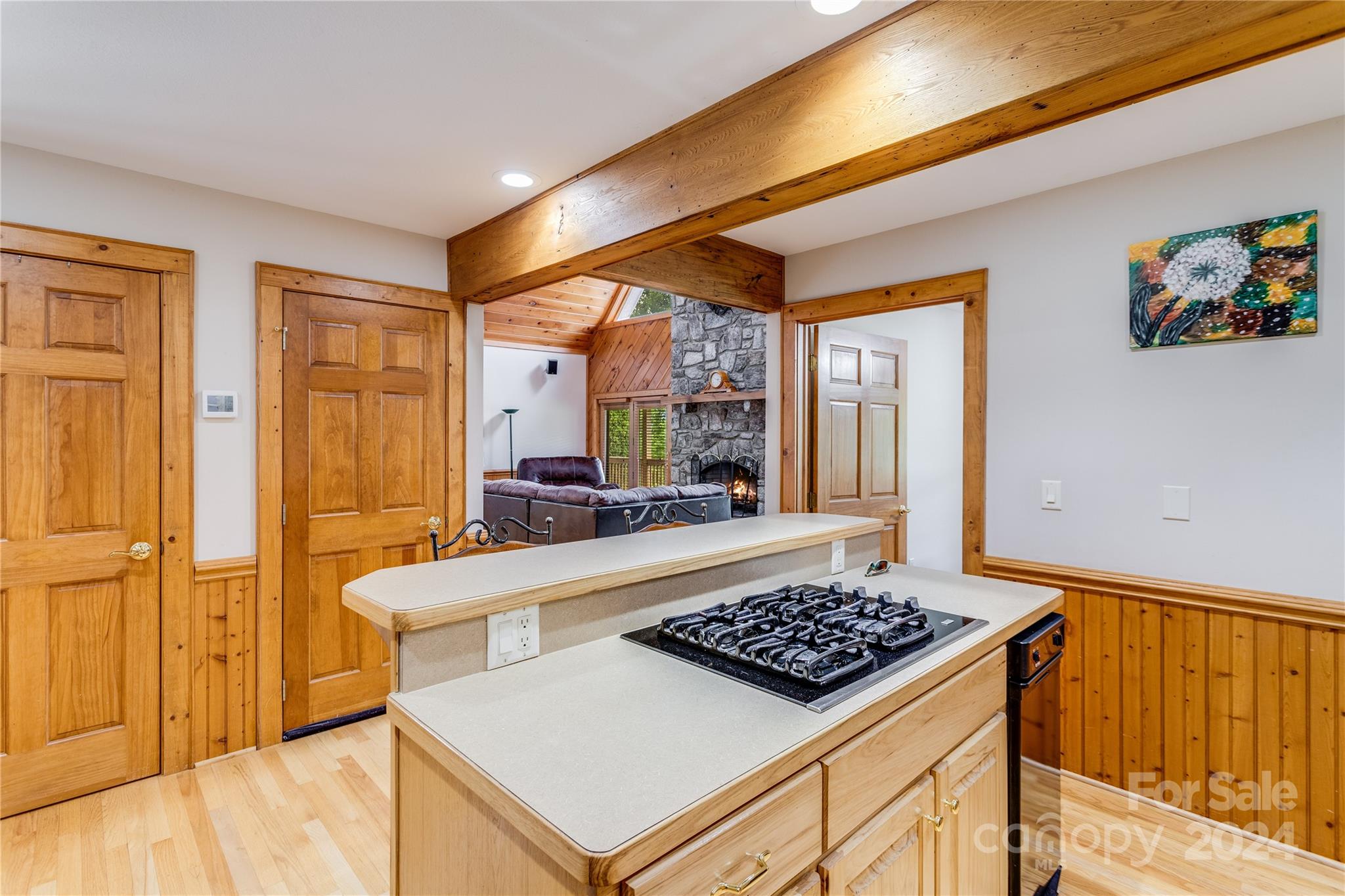 644 Rabbit Skin Road Waynesville, NC 28785 - Photo 11 of 48
