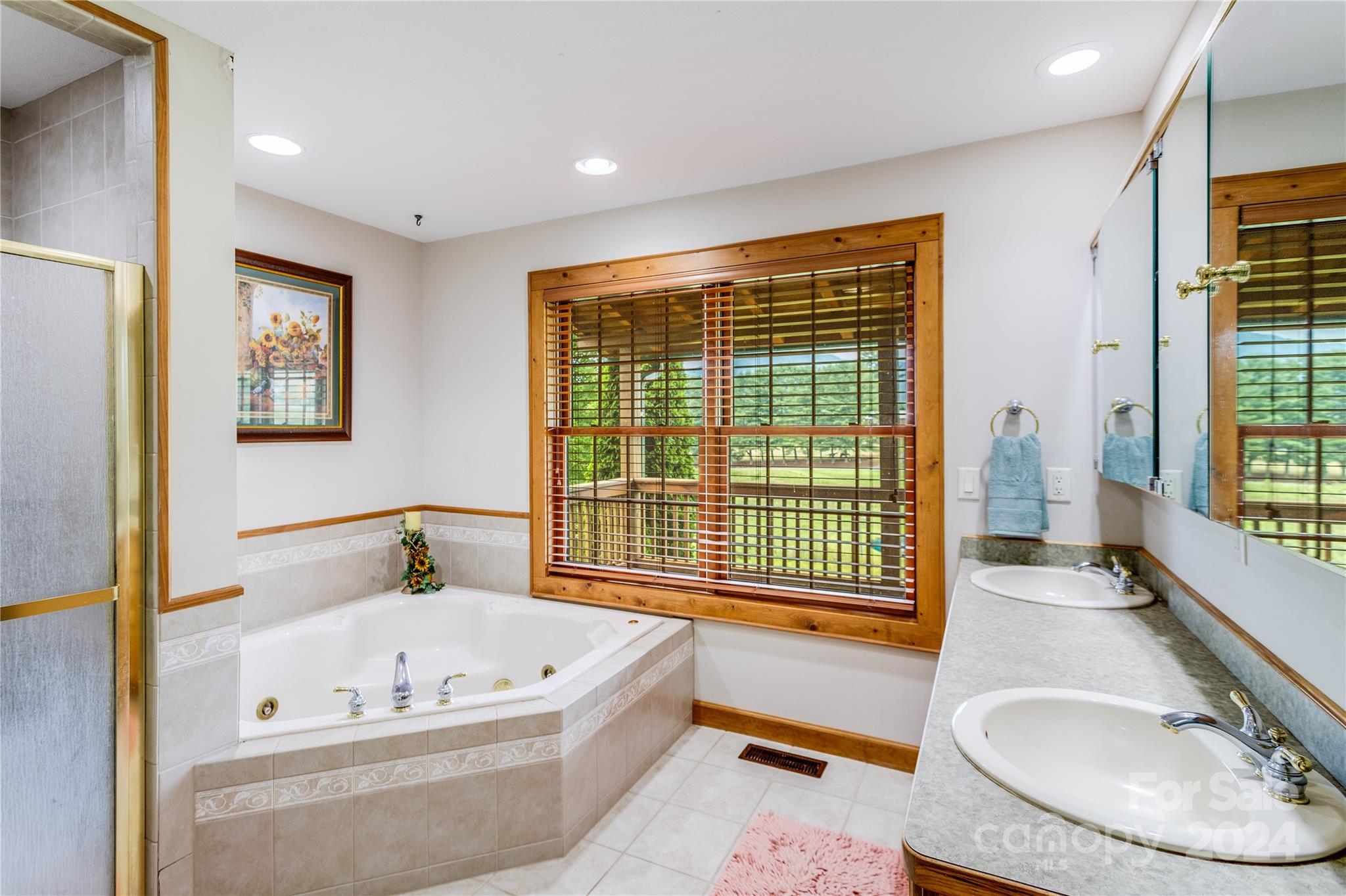 644 Rabbit Skin Road Waynesville, NC 28785 - Photo 18 of 48