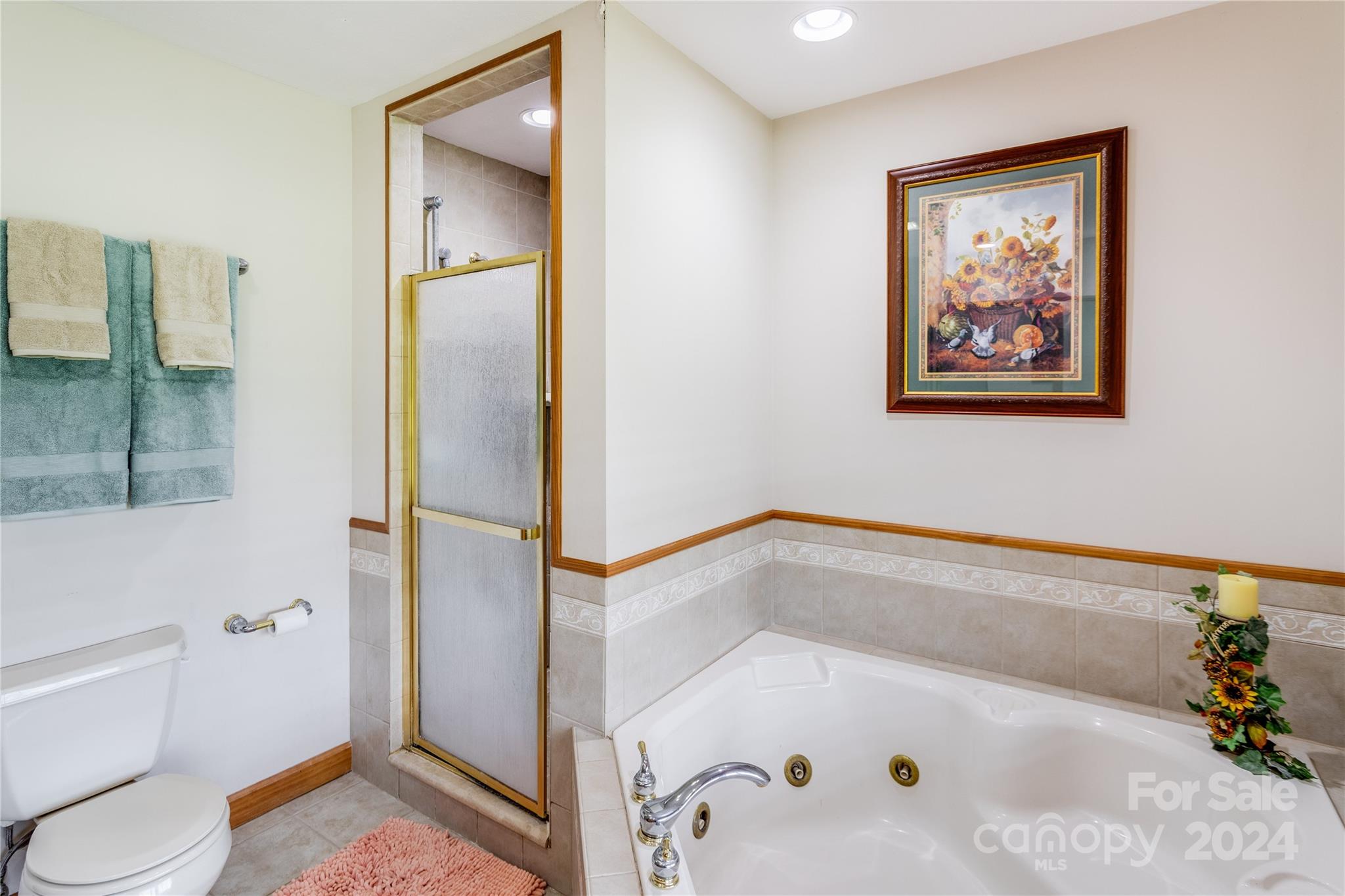644 Rabbit Skin Road Waynesville, NC 28785 - Photo 19 of 48