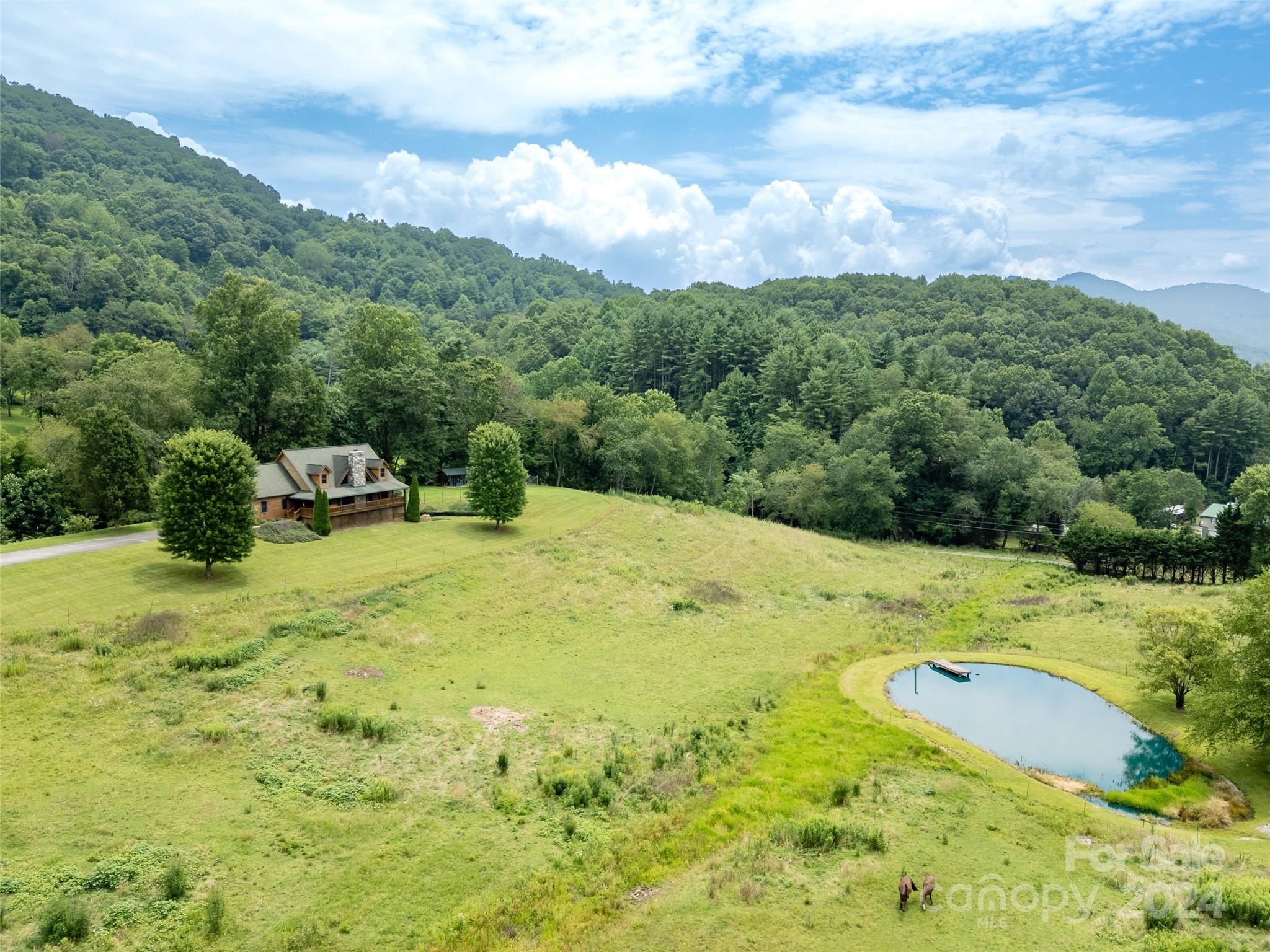 644 Rabbit Skin Road Waynesville, NC 28785 - Photo 2 of 48