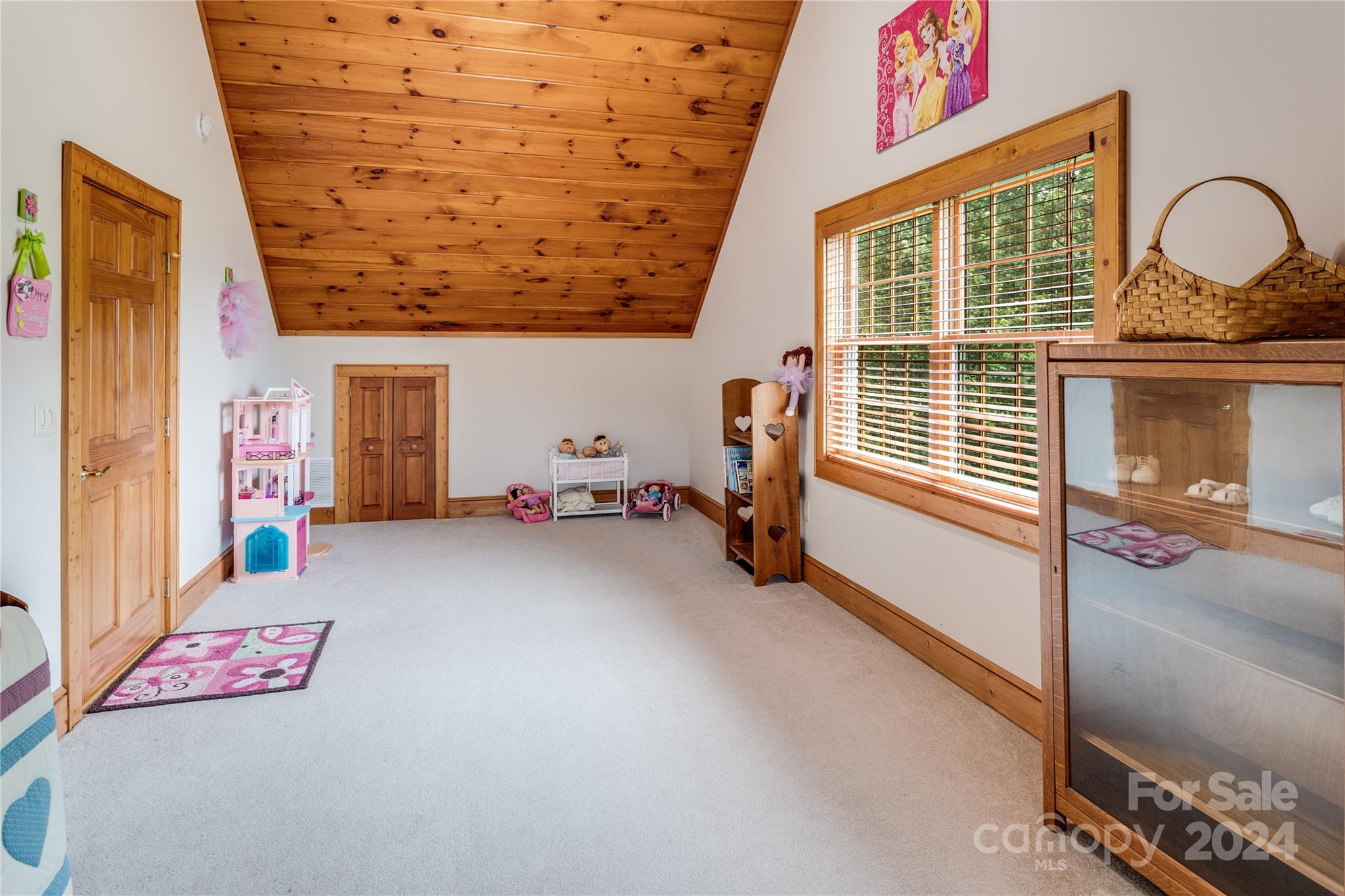 644 Rabbit Skin Road Waynesville, NC 28785 - Photo 25 of 48