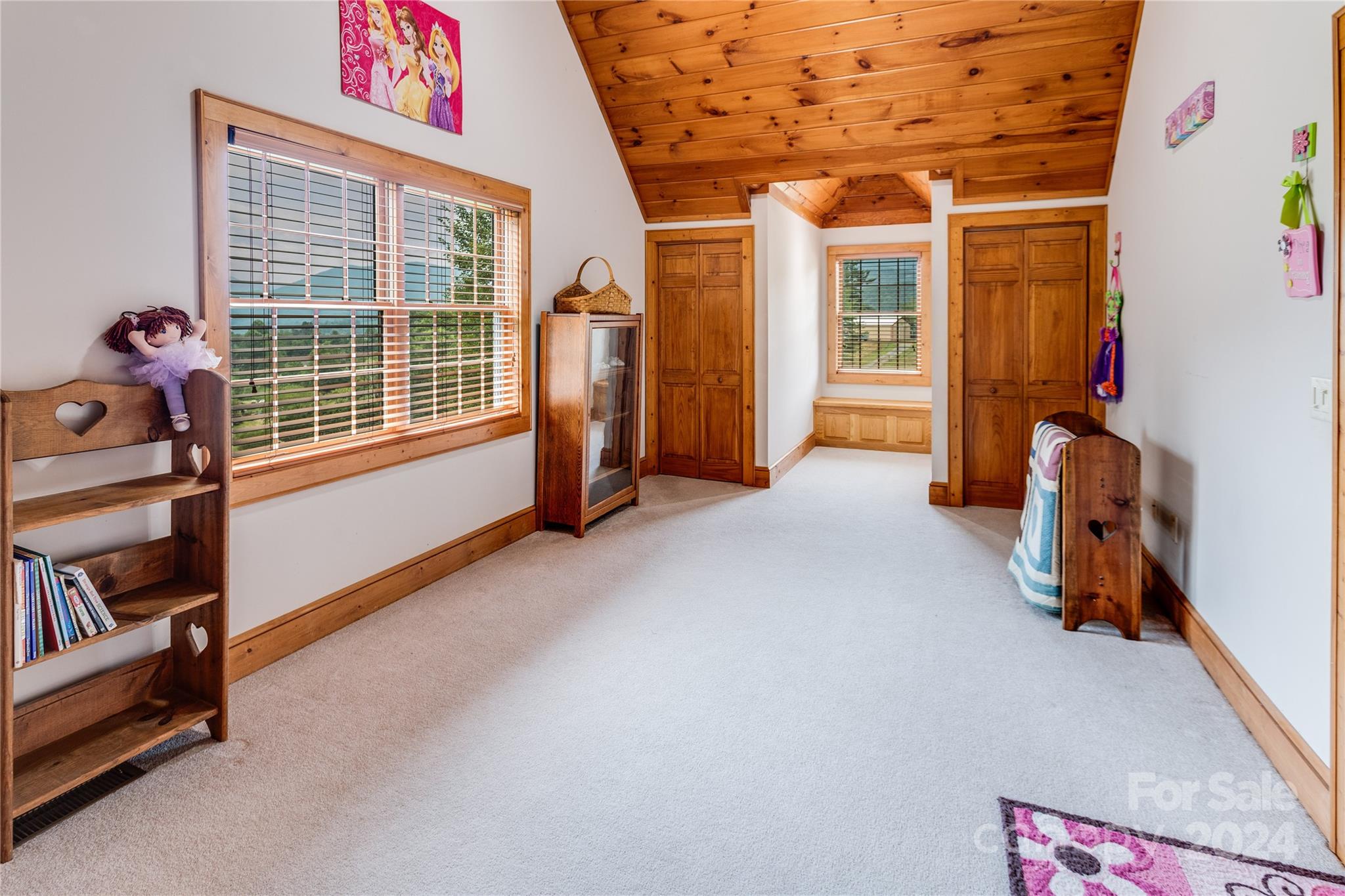 644 Rabbit Skin Road Waynesville, NC 28785 - Photo 26 of 48