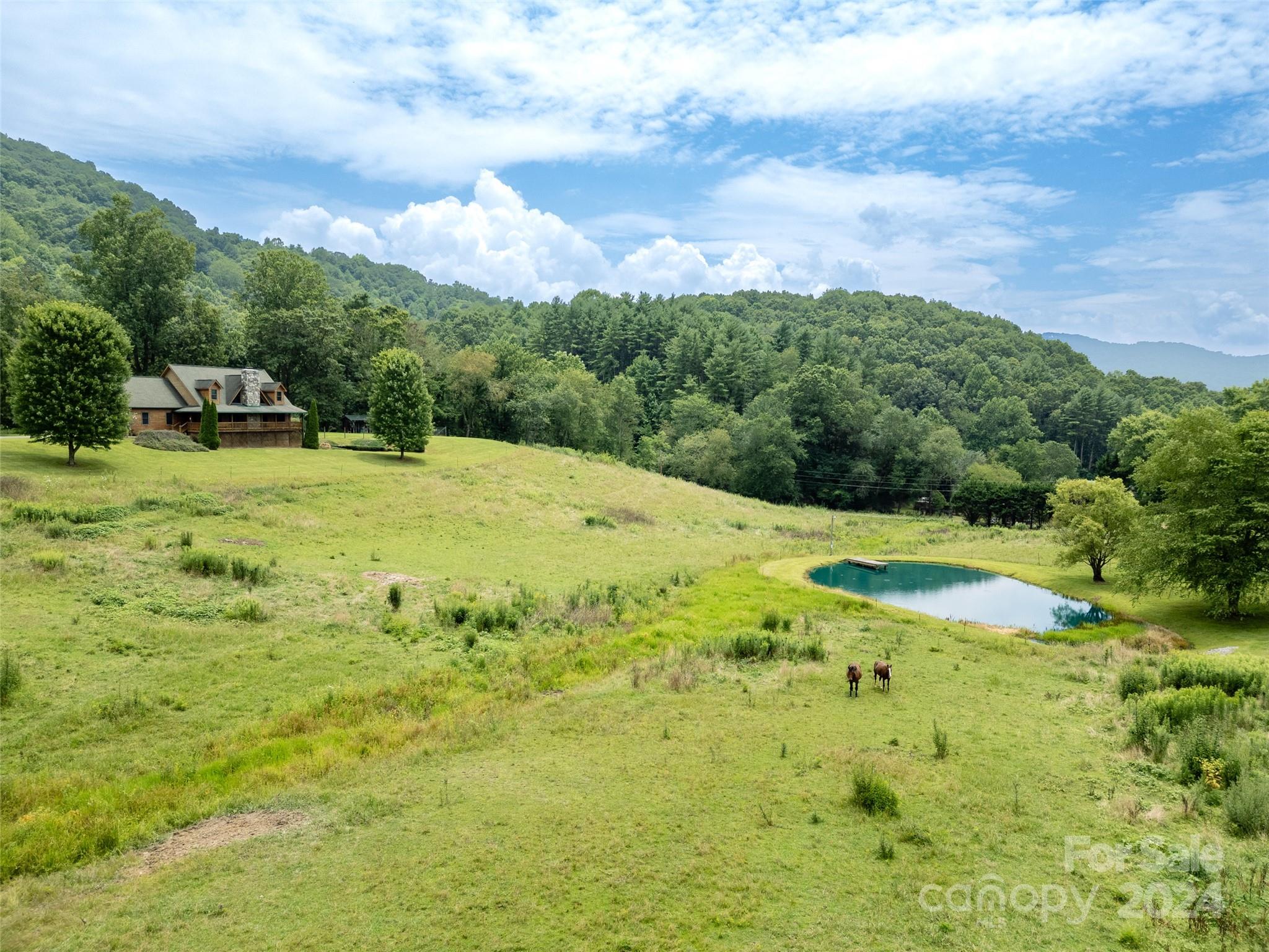 644 Rabbit Skin Road Waynesville, NC 28785 - Photo 44 of 48