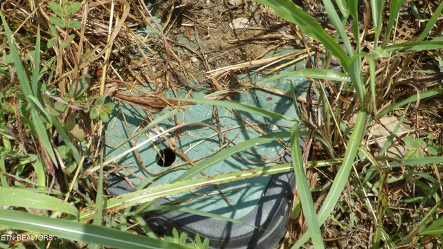 $24,900 | Lot 17 Crappie Lane, Celina, TN 38551