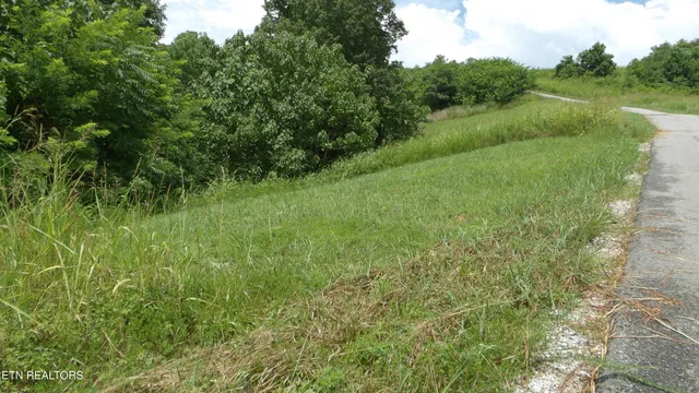 $24,900 | Lot 17 Crappie Lane, Celina, TN 38551