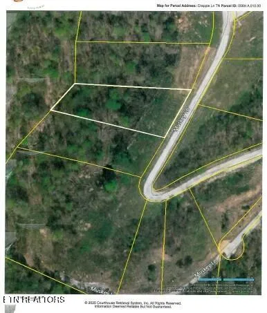 $24,900 | Lot 17 Crappie Lane, Celina, TN 38551