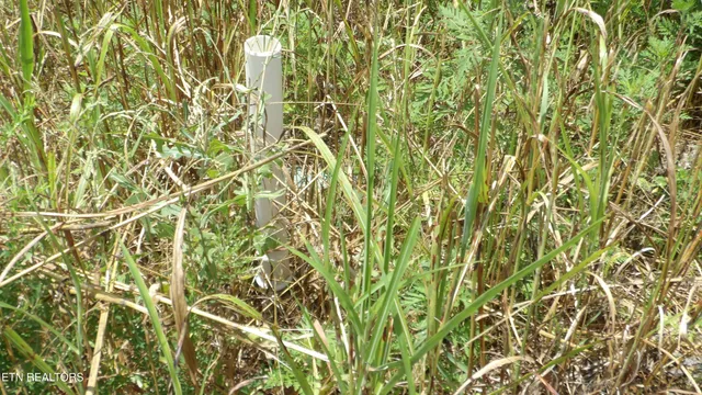 $24,900 | Lot 17 Crappie Lane, Celina, TN 38551