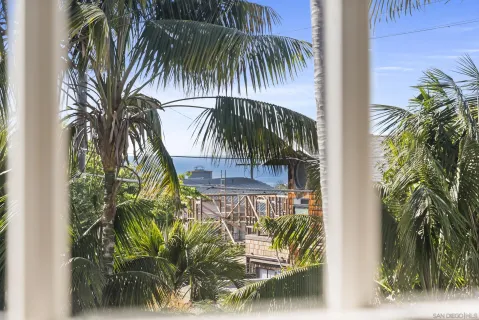 a view of a palm plant that is in front of a house