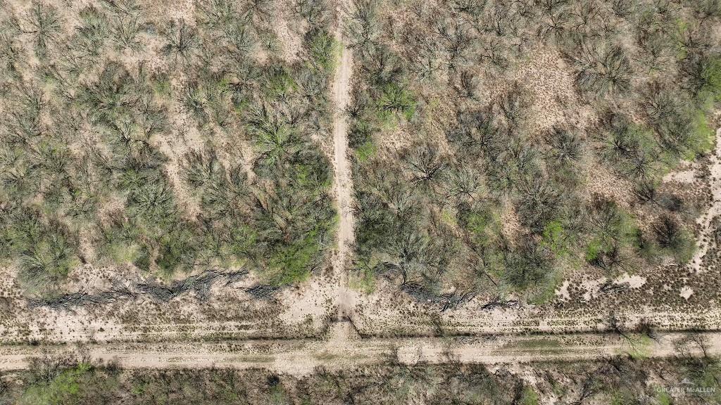 29101 Mile 17 1/2 Road Edinburg, TX 78541 - Photo 20 of 43 a view of a dry yard with trees