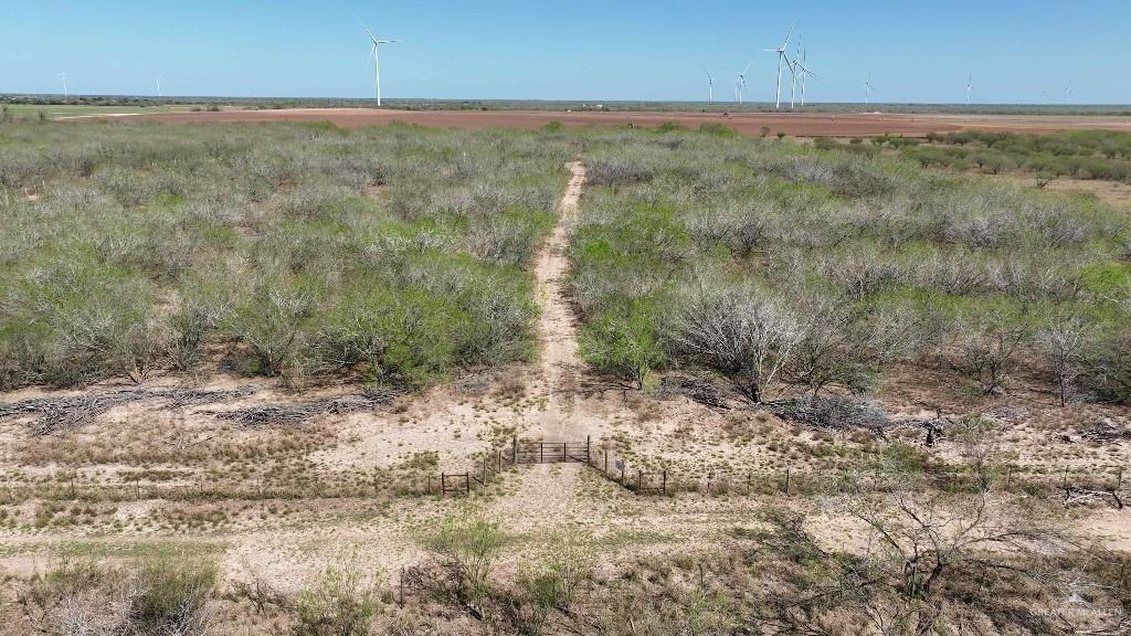29101 Mile 17 1/2 Road Edinburg, TX 78541 - Photo 21 of 43 a view of a yard with trees in the background