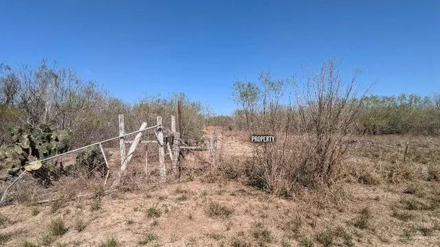 a view of a dry yard with trees in the background