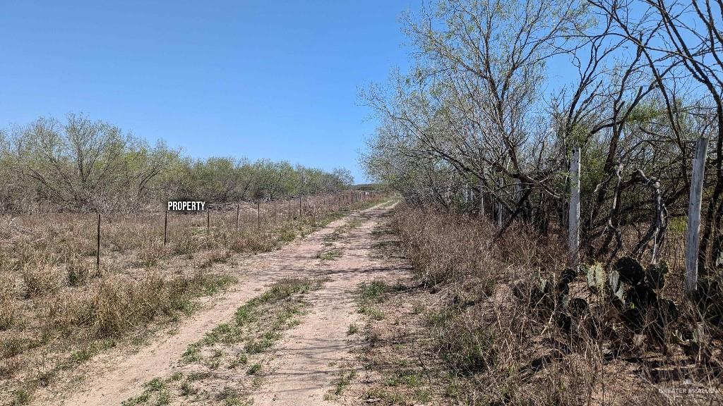 29101 Mile 17 1/2 Road Edinburg, TX 78541 - Photo 24 of 43 a view of a dry yard with trees in the background