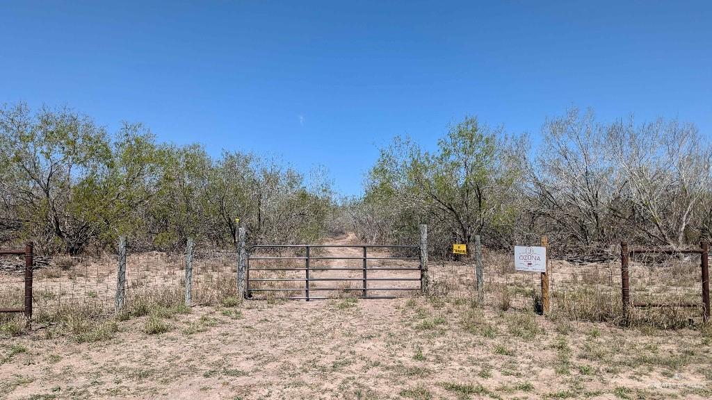 29101 Mile 17 1/2 Road Edinburg, TX 78541 - Photo 25 of 43 a view of a yard with trees in the background