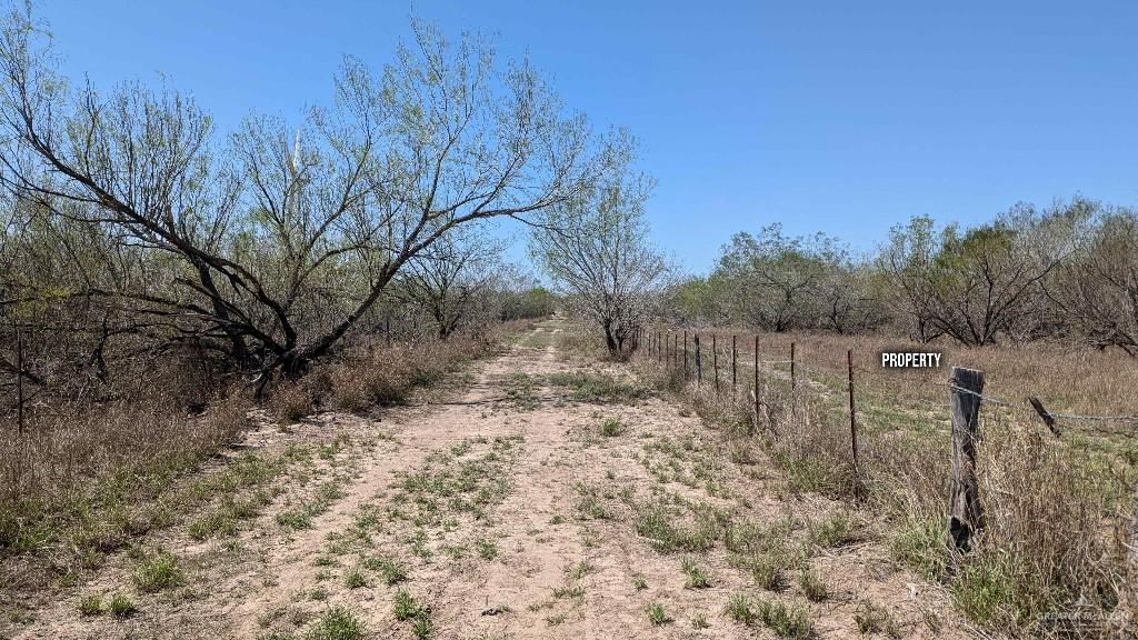 29101 Mile 17 1/2 Road Edinburg, TX 78541 - Photo 28 of 43 a backyard of a house with lots of green space