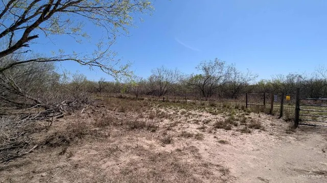 a view of a yard covered with snow