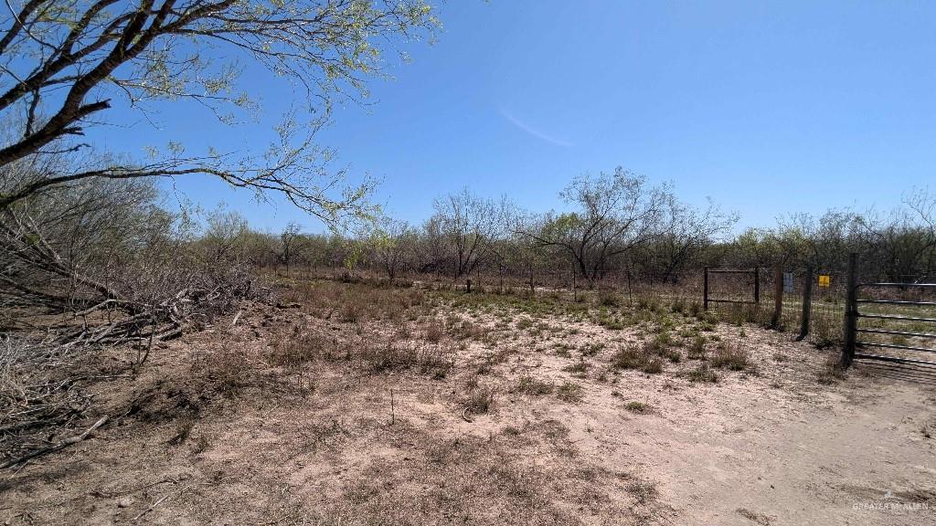 29101 Mile 17 1/2 Road Edinburg, TX 78541 - Photo 31 of 43 a backyard of a house
