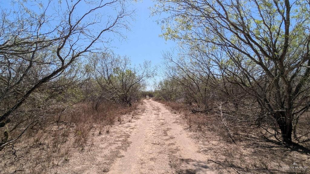 29101 Mile 17 1/2 Road Edinburg, TX 78541 - Photo 32 of 43 a view of a yard covered with snow